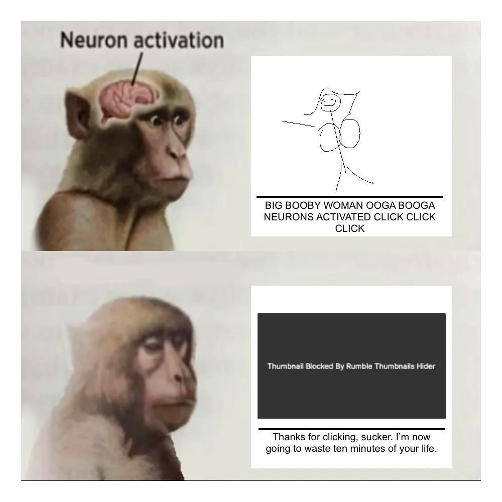 Meme image to display how hide rumble thumbnails chrome extension works